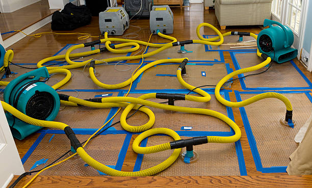 Professional Basement Flood Cleanup technician working in West Grove, PA